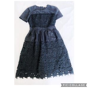 Lark & Ro Black Lace Midi Dress